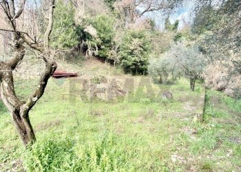 Giardino - Independent house Via Corrado Corti
 
44, Capraia e Limite - photo 69