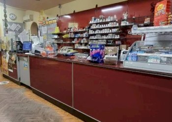 Cucina - Commercial Activity Borgo Garibaldi
 
23/25, Certaldo - photo 5