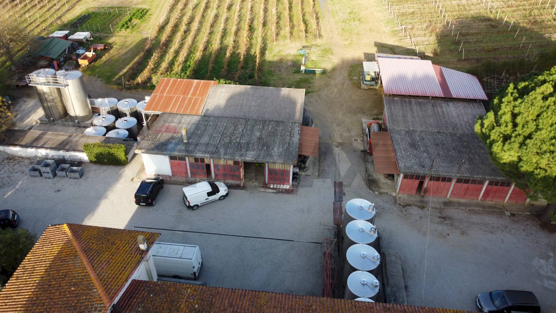 panoramica - Azienda agricola Via Senese Romana
 
369, Empoli - foto 3