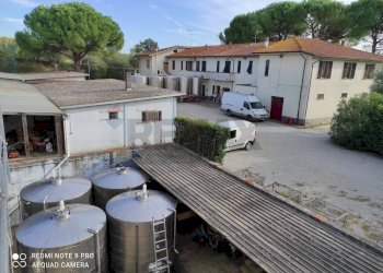 piazzale - Azienda agricola Via Senese Romana
369, Empoli - foto 1