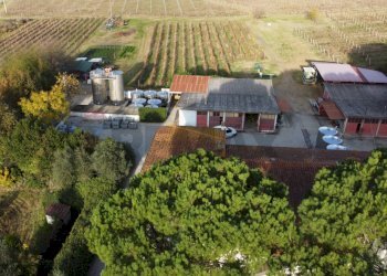 panoramica - Azienda agricola Via Senese Romana
369, Empoli - foto 2