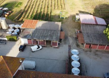 panoramica - Azienda agricola Via Senese Romana
369, Empoli - foto 3