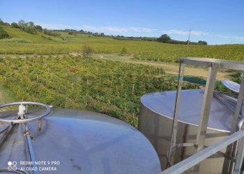 panoramica - Azienda agricola Via Senese Romana
369, Empoli - foto 5