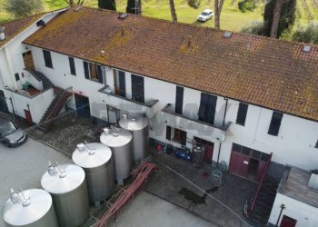 panoramica - Azienda agricola Via Senese Romana
369, Empoli - foto 6