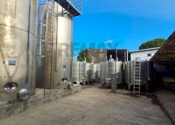 piazzale - Azienda agricola Via Senese Romana
369, Empoli - foto 7