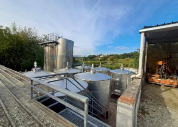 platea attrezzata - Azienda agricola Via Senese Romana
369, Empoli - foto 9