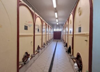 cantina - Azienda agricola Via Senese Romana
369, Empoli - foto 11