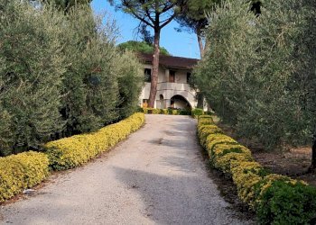 viale accesso proprietà - Azienda agricola Via Senese Romana
369, Empoli - foto 19