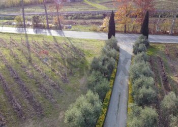 Giardino - Azienda agricola Via Senese Romana
369, Empoli - foto 21