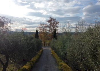 Edificio all\'aperto - Azienda agricola Via Senese Romana
369, Empoli - foto 22