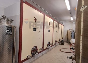 cantina - Azienda agricola Via Senese Romana
369, Empoli - foto 24