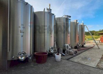 piazzale - Azienda agricola Via Senese Romana
369, Empoli - foto 25