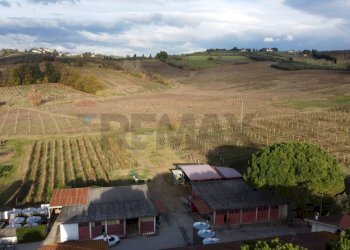 Vista delle montagne - Azienda agricola Via Senese Romana
369, Empoli - foto 27