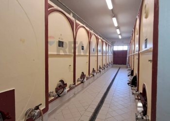 cantina - Azienda agricola Via Senese Romana
369, Empoli - foto 28