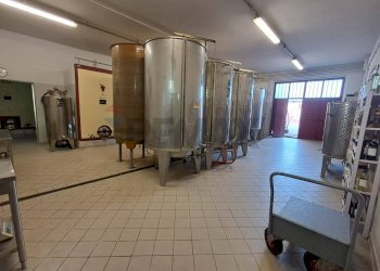 cantina - Azienda agricola Via Senese Romana
369, Empoli - foto 30