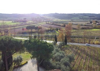 Vista delle montagne - Azienda agricola Via Senese Romana
369, Empoli - foto 33