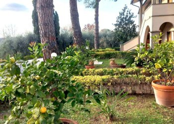 Giardino - Azienda agricola Via Senese Romana
369, Empoli - foto 36