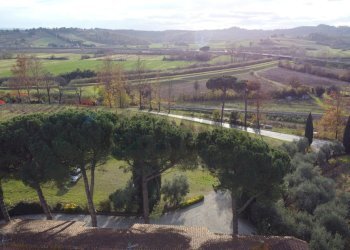 panoramica - Azienda agricola Via Senese Romana
369, Empoli - foto 46