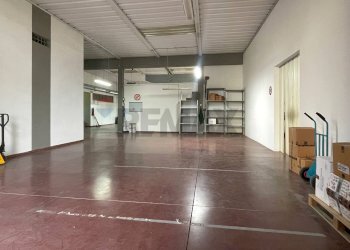 magazzino - Capannone Cerreto Guidi - foto 5