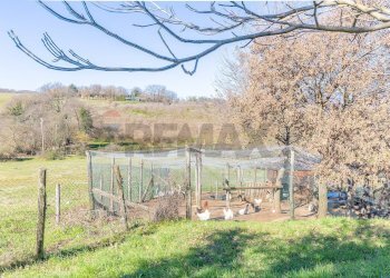 Giardino - Villa Via Monte Topino
 
40, Sutri - foto 88