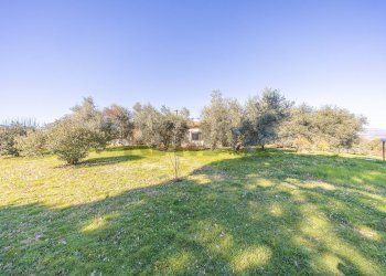 Giardino - Villa Via Monte Topino
 
40, Sutri - foto 99