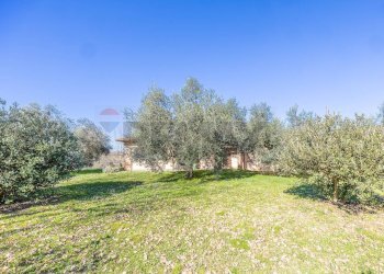 Giardino - Villa Via Monte Topino
 
40, Sutri - foto 115