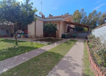 Giardino - Villa Ardea - foto 1