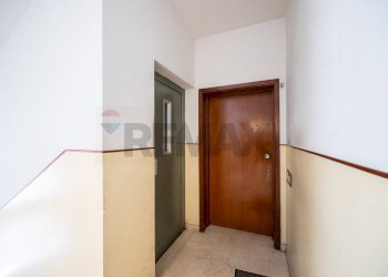 Hall / corridoio - Quadrilocale Via Nello Catellani
 
3, Guastalla - foto 32