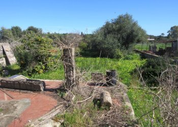 Giardino - Casa indipendente contrada santa venerina, Melilli - foto 11