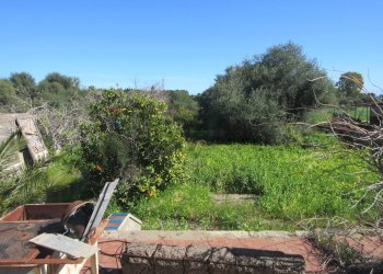 Giardino - Casa indipendente contrada santa venerina, Melilli - foto 13