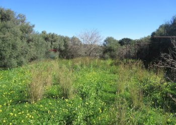 Giardino - Casa indipendente contrada santa venerina, Melilli - foto 26