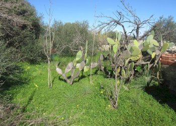 Giardino - Casa indipendente contrada santa venerina, Melilli - foto 28