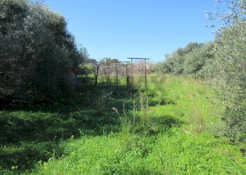 Giardino - Casa indipendente contrada santa venerina, Melilli - foto 29