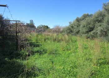 Giardino - Casa indipendente contrada santa venerina, Melilli - foto 30