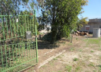 Giardino - Casa indipendente Via Salafia, Melilli - foto 2