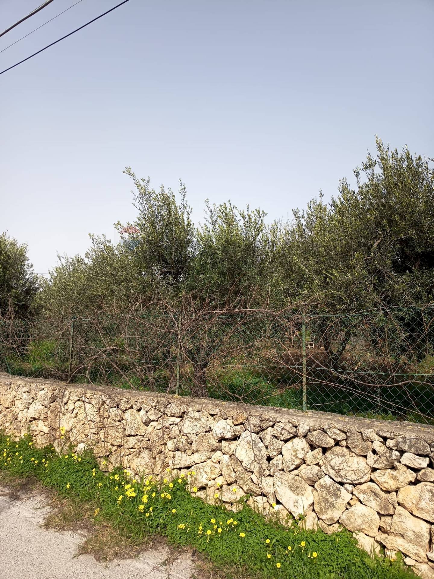 Giardino - Terreno edificabile VIA DEI CRISTALLI, Siracusa - foto 2