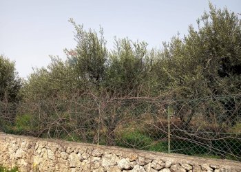 Giardino - Terreno edificabile VIA DEI CRISTALLI, Siracusa - foto 2