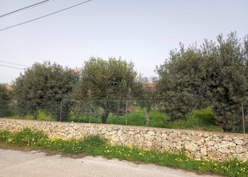 Giardino - Terreno edificabile VIA DEI CRISTALLI, Siracusa - foto 4