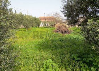 Giardino - Terreno edificabile VIA DEI CRISTALLI, Siracusa - foto 5