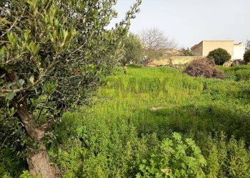 Giardino - Terreno edificabile VIA DEI CRISTALLI, Siracusa - foto 6