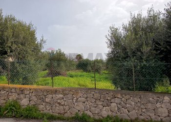 Giardino - Terreno edificabile VIA DEI CRISTALLI, Siracusa - foto 8