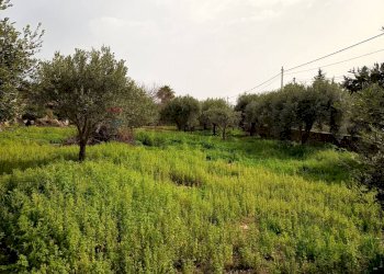 Giardino - Terreno edificabile VIA DEI CRISTALLI, Siracusa - foto 9