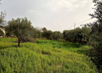 Giardino - Terreno edificabile VIA DEI CRISTALLI, Siracusa - foto 10