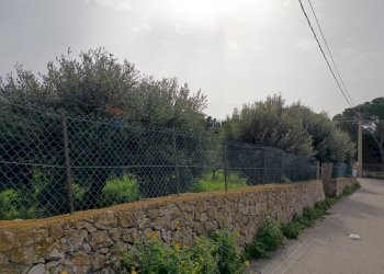 Giardino - Terreno edificabile VIA DEI CRISTALLI, Siracusa - foto 13