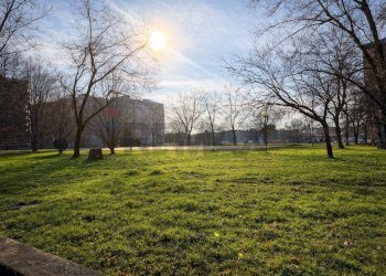 Giardino - Quadrilocale Via Monte San Gabriele
 
42, Novara - foto 17