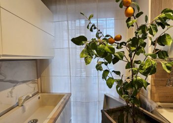 Foto 3 - Locale Commerciale Via Campania, Cagliari - foto 3