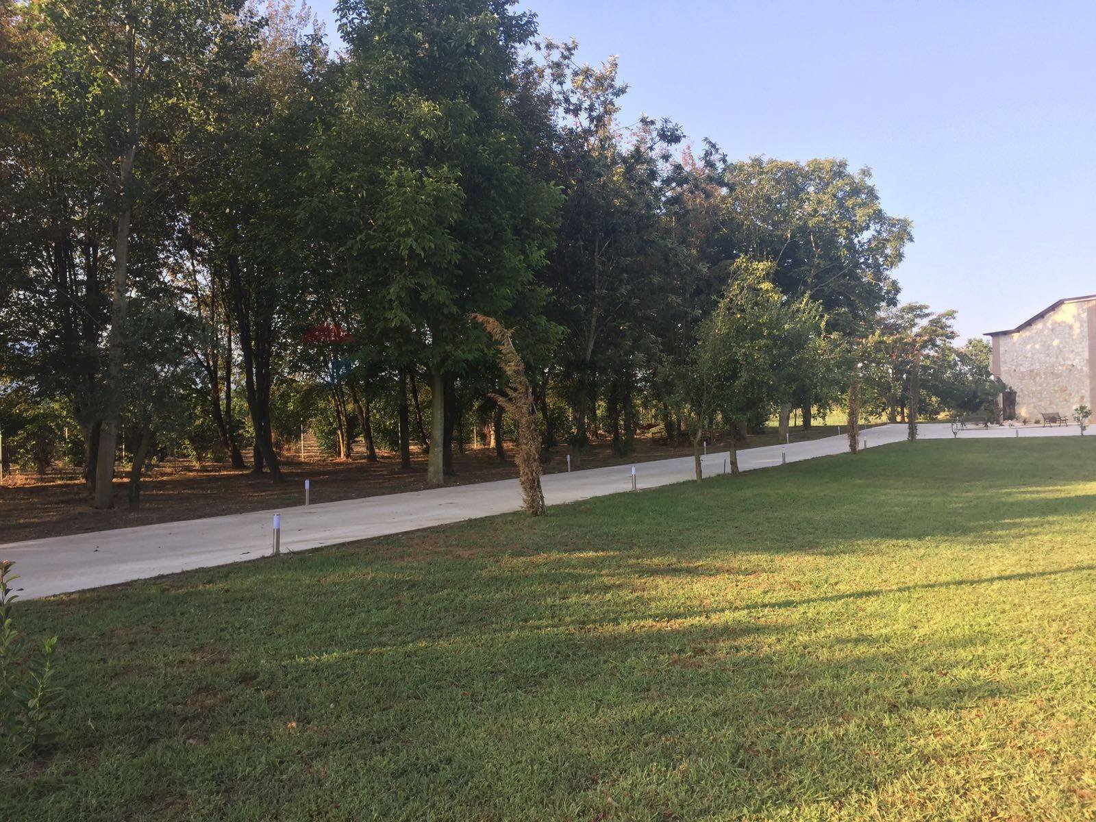 Giardino - Casa semi indipendente Via Centimolo
 
snc, Pietravairano - foto 3