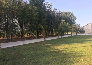 Giardino - Casa semi indipendente Via Centimolo
 
snc, Pietravairano - foto 3