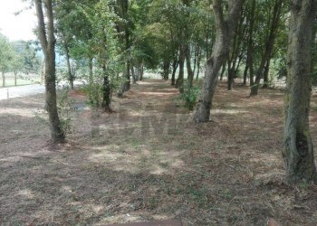 Giardino - Casa semi indipendente Via Centimolo
 
snc, Pietravairano - foto 38