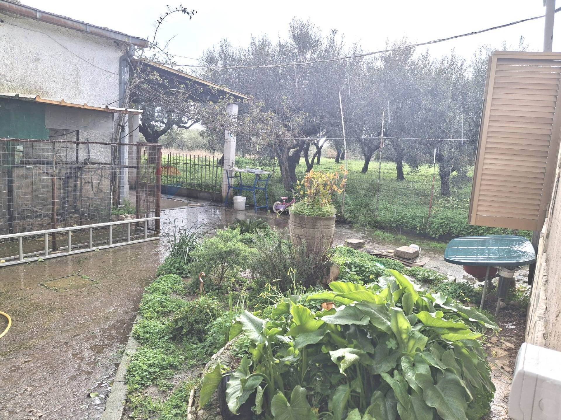 Giardino - Independent house Sessa Aurunca - photo 2